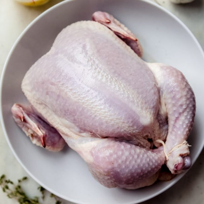Alex Chicken Chicken – Alex Food Service